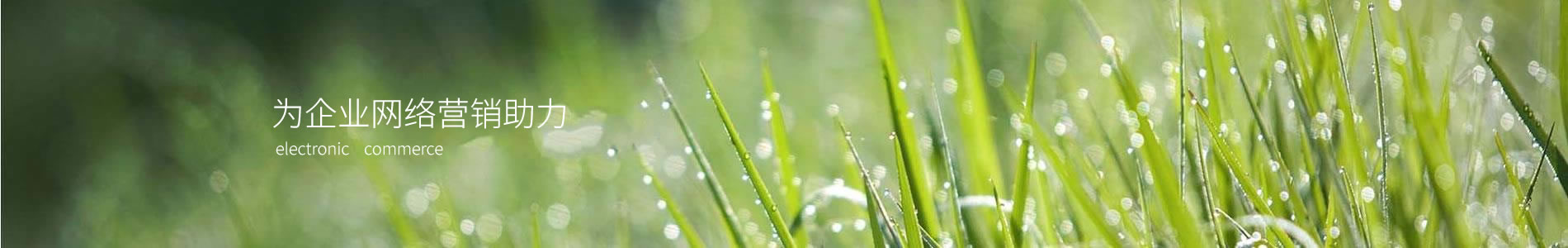 ĻƼ޹˾
